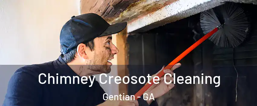 Chimney Creosote Cleaning Gentian - GA