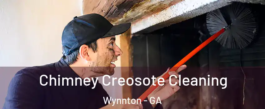 Chimney Creosote Cleaning Wynnton - GA