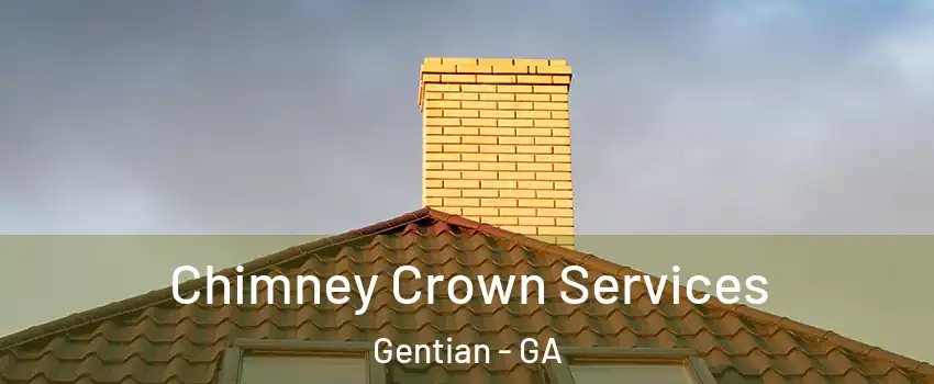 Chimney Crown Services Gentian - GA