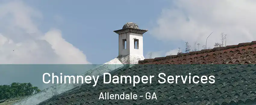 Chimney Damper Services Allendale - GA
