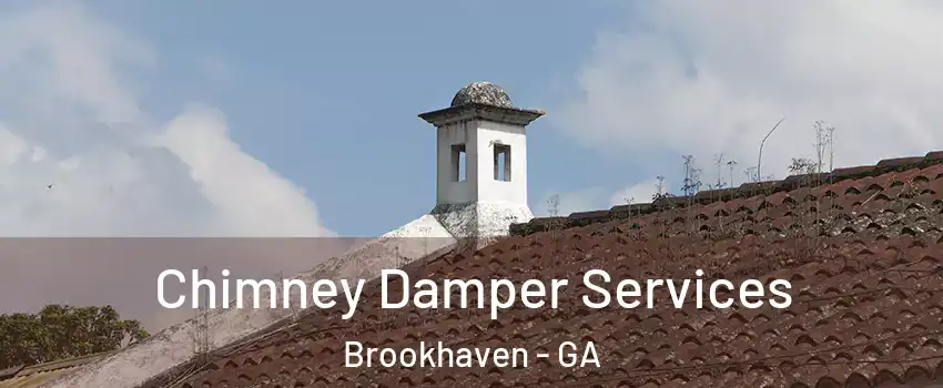 Chimney Damper Services Brookhaven - GA