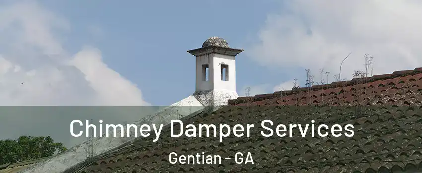 Chimney Damper Services Gentian - GA