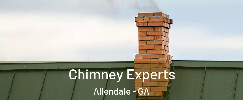 Chimney Experts Allendale - GA