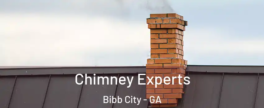 Chimney Experts Bibb City - GA
