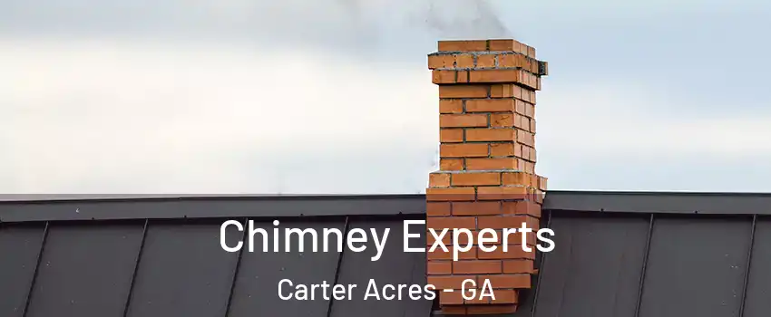 Chimney Experts Carter Acres - GA