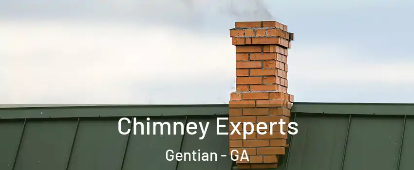 Chimney Experts Gentian - GA