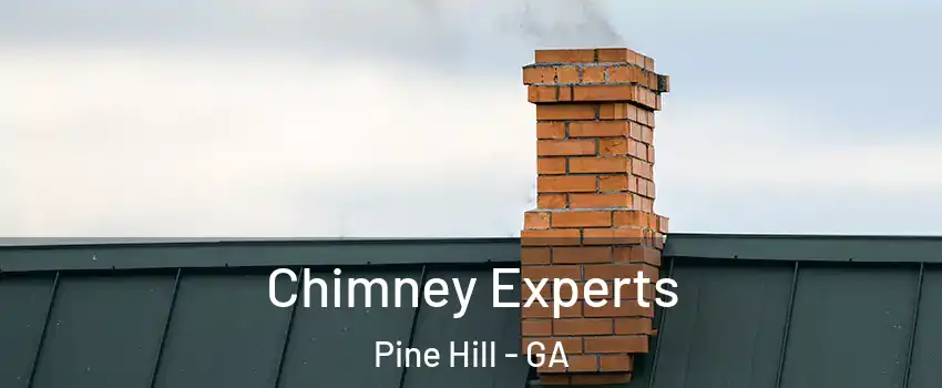 Chimney Experts Pine Hill - GA
