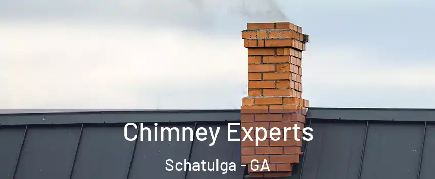 Chimney Experts Schatulga - GA