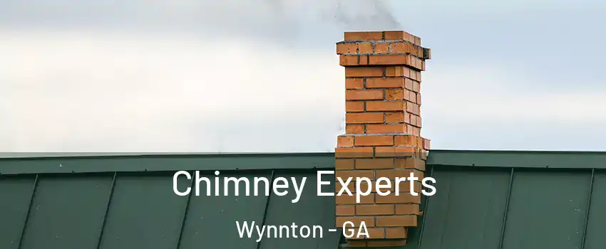 Chimney Experts Wynnton - GA