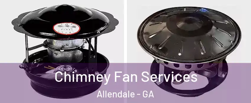 Chimney Fan Services Allendale - GA