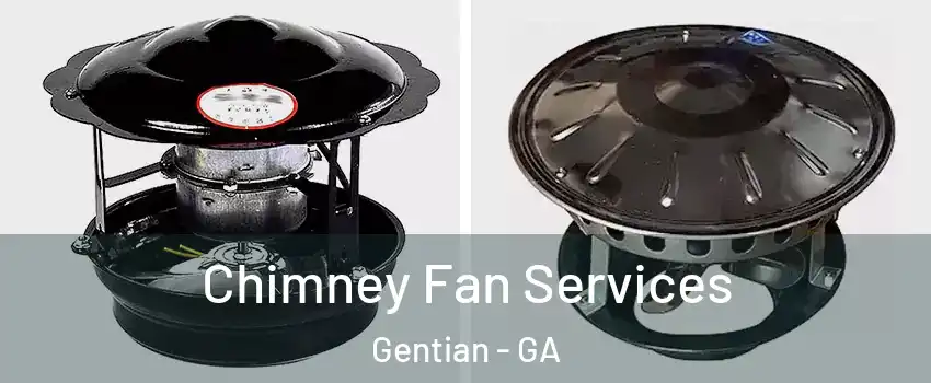 Chimney Fan Services Gentian - GA
