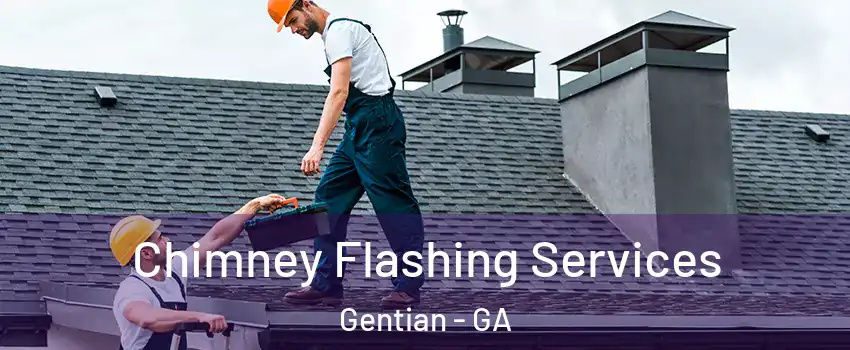 Chimney Flashing Services Gentian - GA