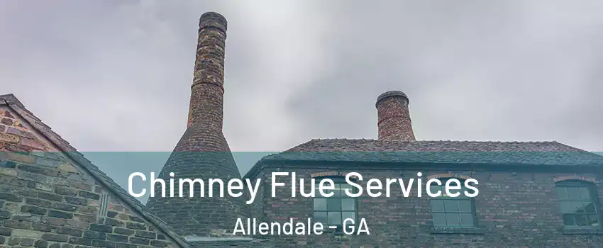 Chimney Flue Services Allendale - GA
