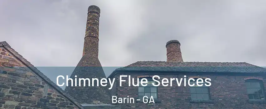 Chimney Flue Services Barin - GA