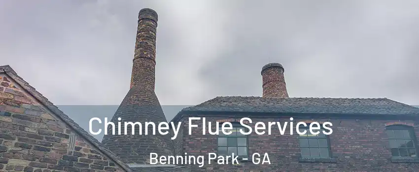 Chimney Flue Services Benning Park - GA