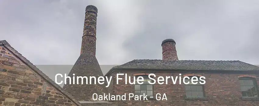 Chimney Flue Services Oakland Park - GA