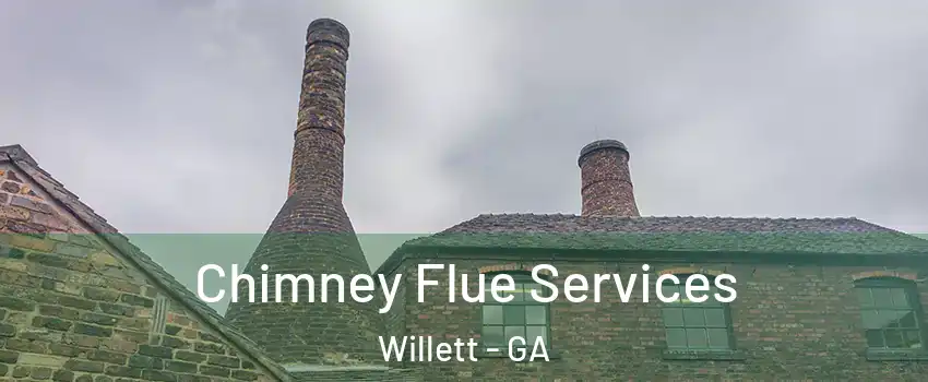 Chimney Flue Services Willett - GA
