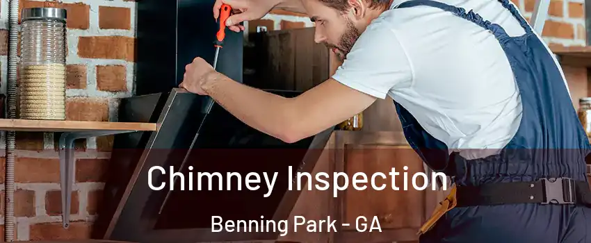 Chimney Inspection Benning Park - GA
