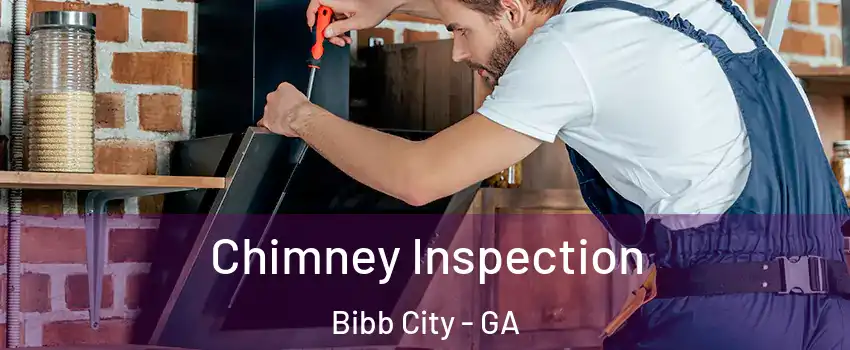 Chimney Inspection Bibb City - GA
