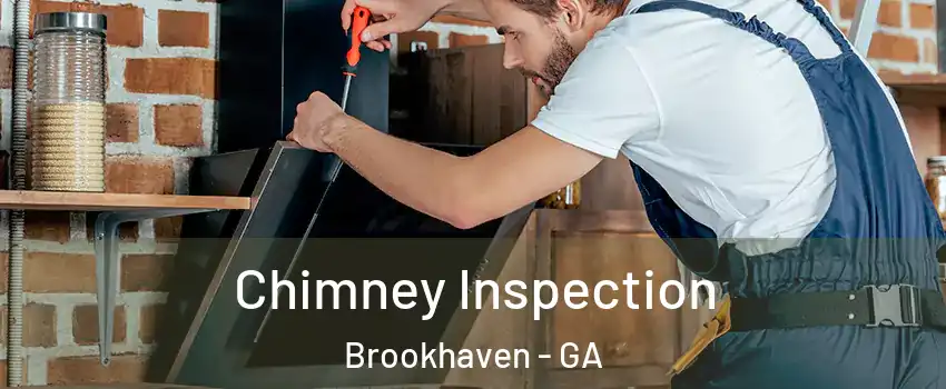Chimney Inspection Brookhaven - GA