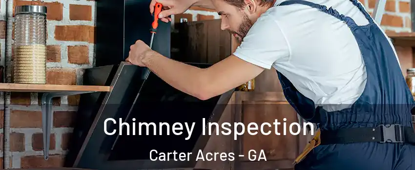 Chimney Inspection Carter Acres - GA
