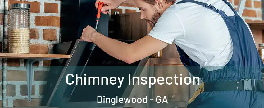 Chimney Inspection Dinglewood - GA