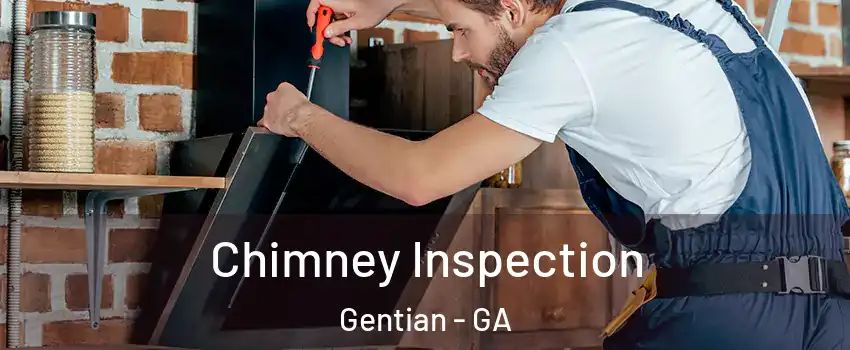 Chimney Inspection Gentian - GA