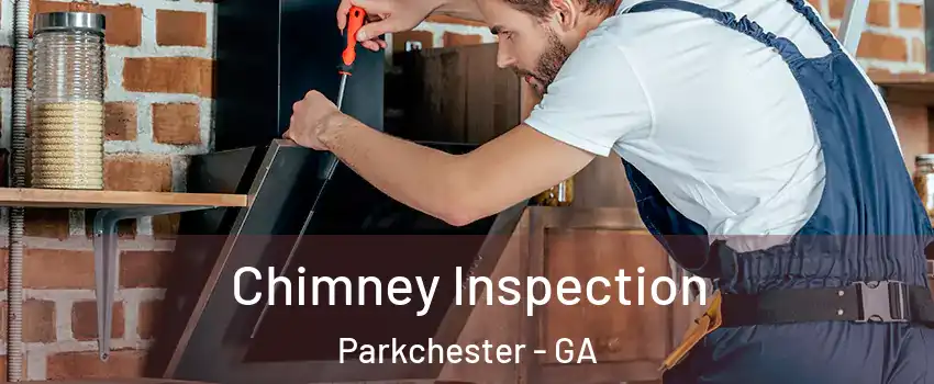 Chimney Inspection Parkchester - GA