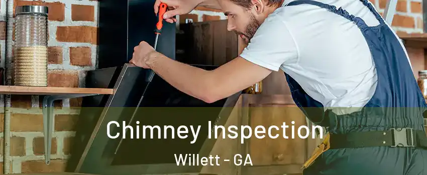 Chimney Inspection Willett - GA