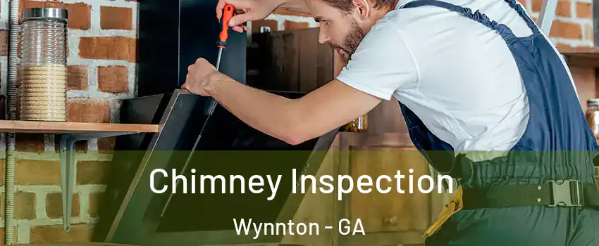 Chimney Inspection Wynnton - GA