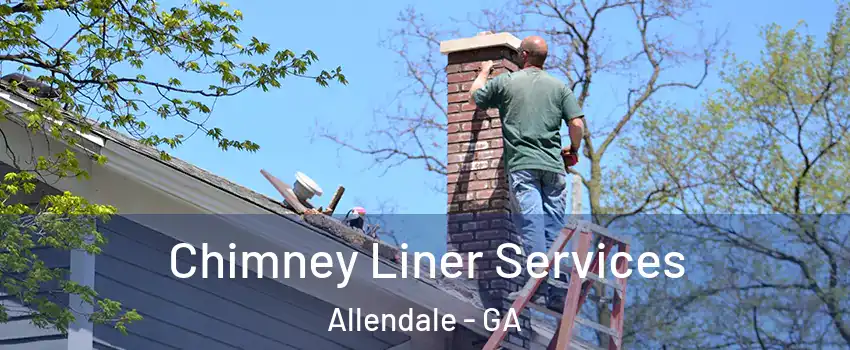 Chimney Liner Services Allendale - GA