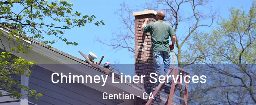Chimney Liner Services Gentian - GA