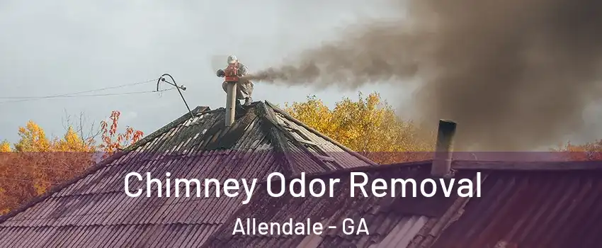 Chimney Odor Removal Allendale - GA