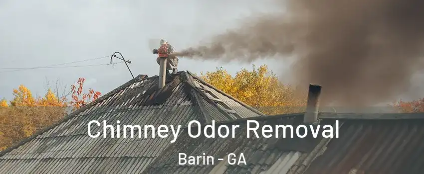 Chimney Odor Removal Barin - GA