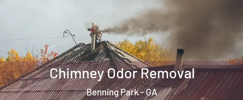 Chimney Odor Removal Benning Park - GA