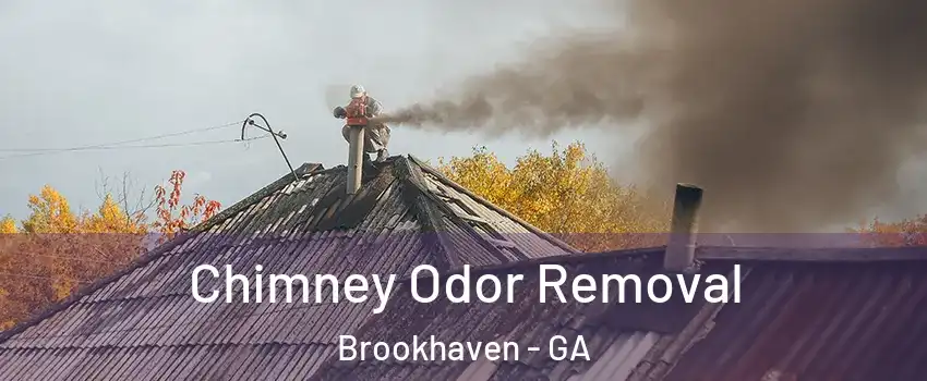 Chimney Odor Removal Brookhaven - GA