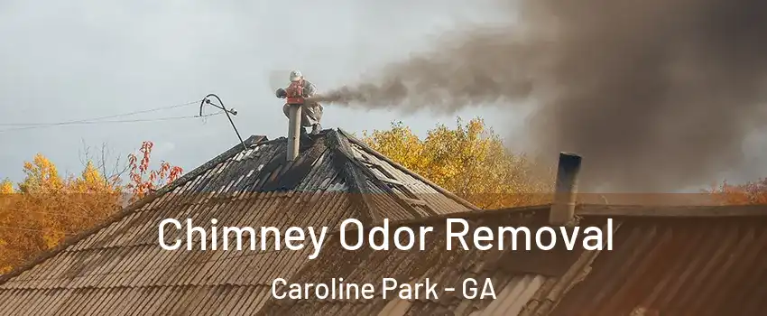 Chimney Odor Removal Caroline Park - GA