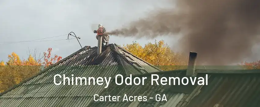 Chimney Odor Removal Carter Acres - GA