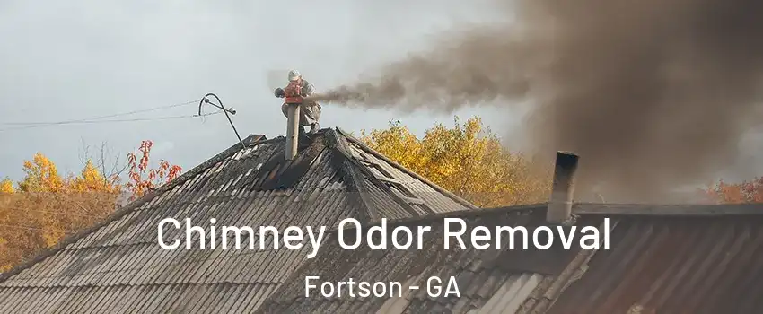 Chimney Odor Removal Fortson - GA