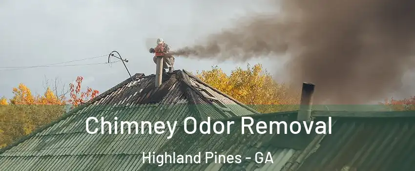 Chimney Odor Removal Highland Pines - GA