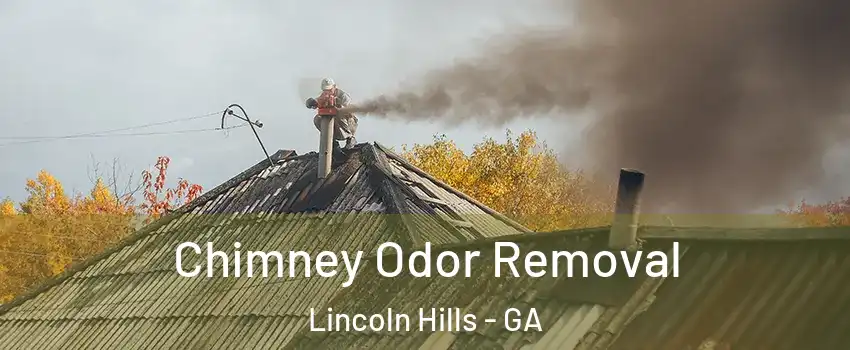 Chimney Odor Removal Lincoln Hills - GA