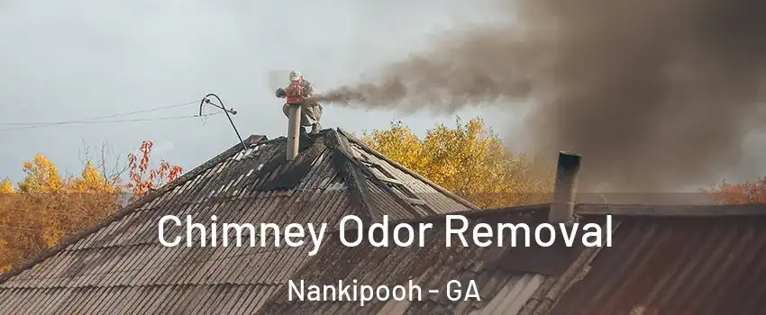 Chimney Odor Removal Nankipooh - GA