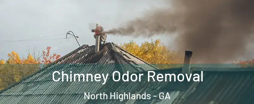 Chimney Odor Removal North Highlands - GA