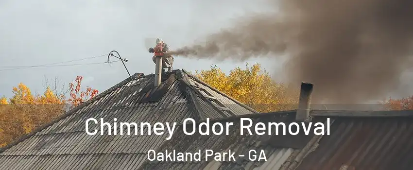 Chimney Odor Removal Oakland Park - GA
