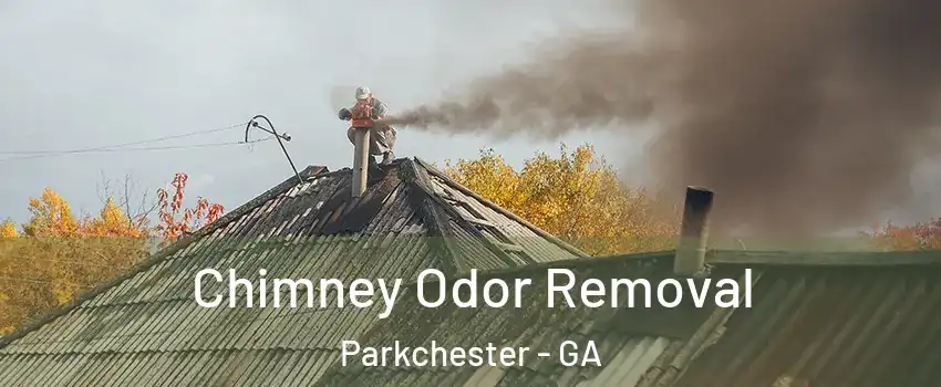 Chimney Odor Removal Parkchester - GA