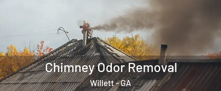 Chimney Odor Removal Willett - GA