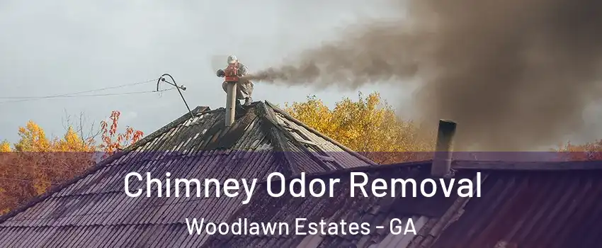 Chimney Odor Removal Woodlawn Estates - GA