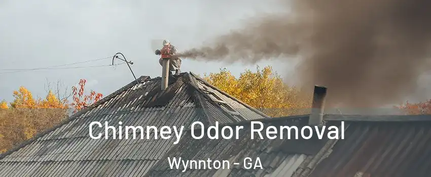 Chimney Odor Removal Wynnton - GA