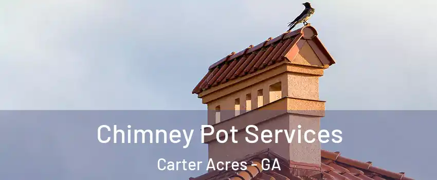 Chimney Pot Services Carter Acres - GA