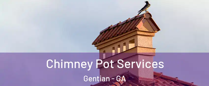 Chimney Pot Services Gentian - GA